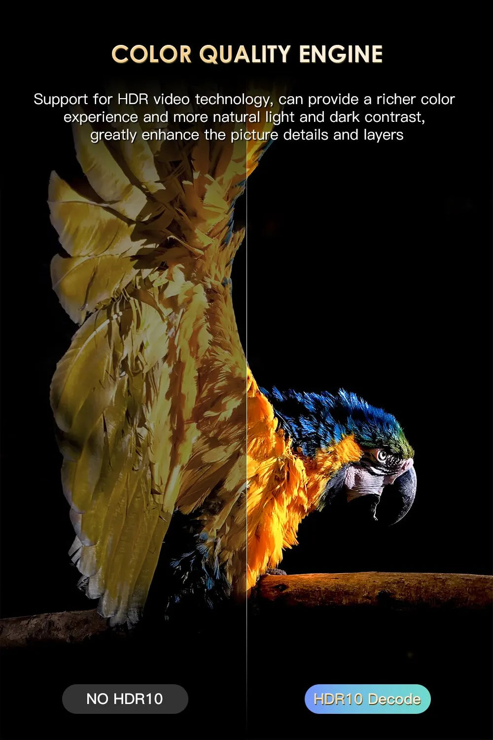 HONGTOP H20PRO &ndash; WiFi6 Android 10 6K 4K Media Player