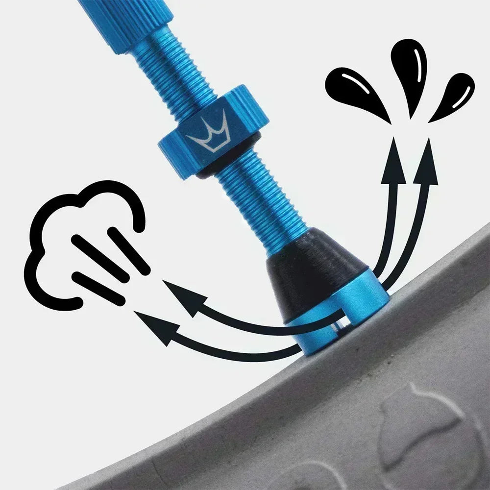 TLR Bicycle Juicy Nipple Fillmore Tubeless Bike Tire Valves &ndash; Durable Presta Valve Repair Kit