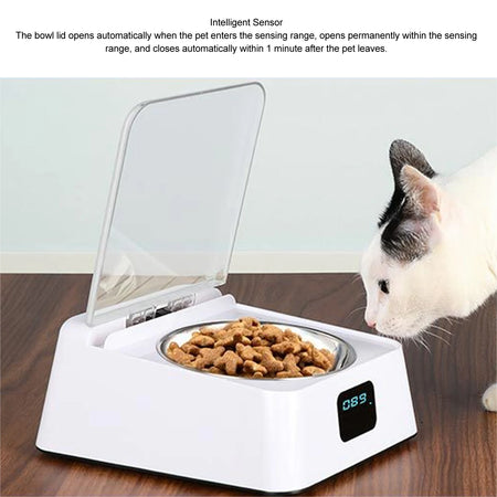 Infrared Sensor Cat Feeder &ndash; Digital Display Easy Clean