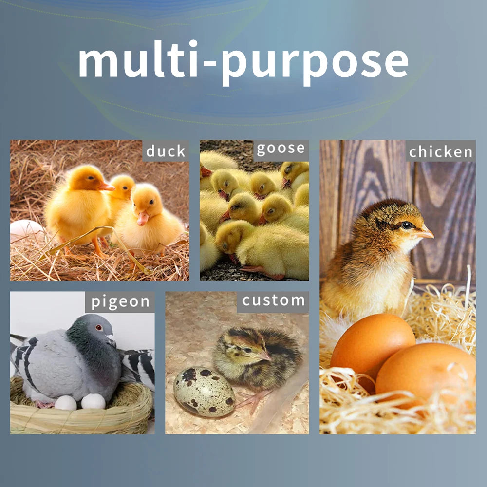 HT-12 LCD Egg Incubator Controller &ndash; Thermostat Hygrostat