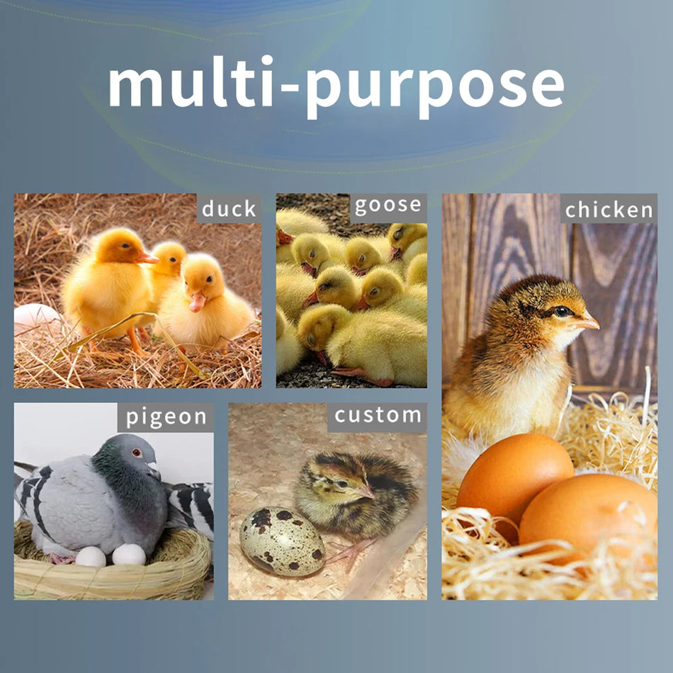 HT-12 LCD Egg Incubator Controller &ndash; Thermostat Hygrostat