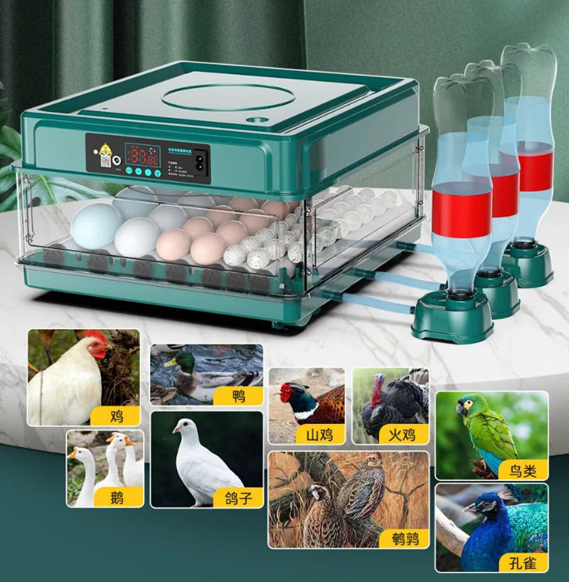 6/12 Hatcher Eggs Incubator Brooder &ndash; Auto Egg Turner