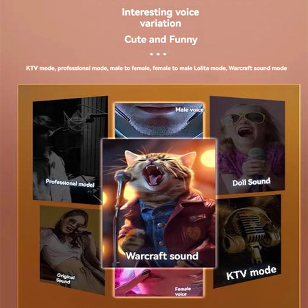 NEWMSNR 100W Subwoofer Bluetooth Speaker &ndash; Wireless Karaoke