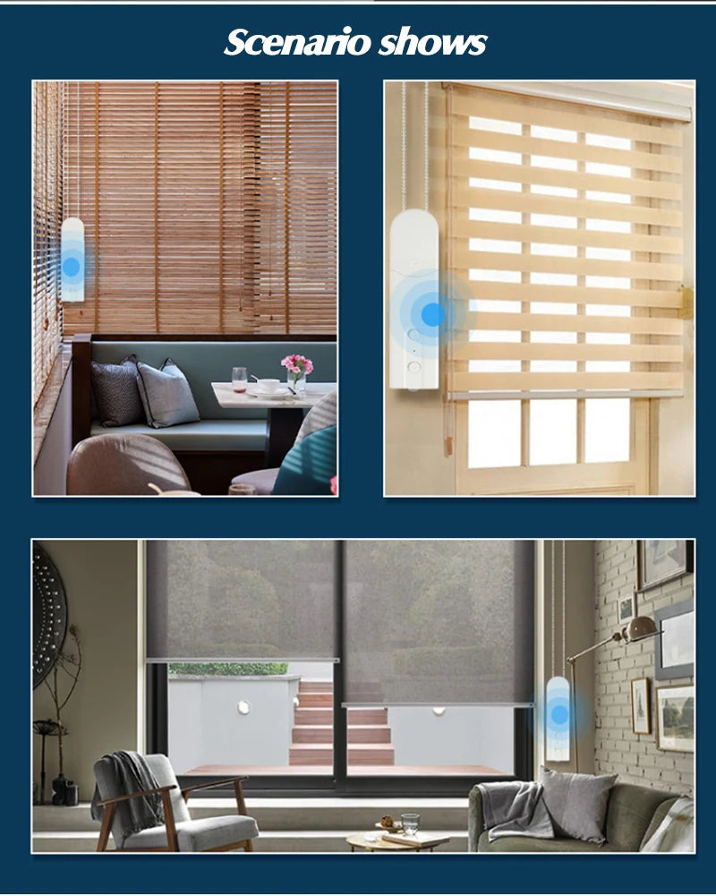 Tuya Zigbee Curtain Robot