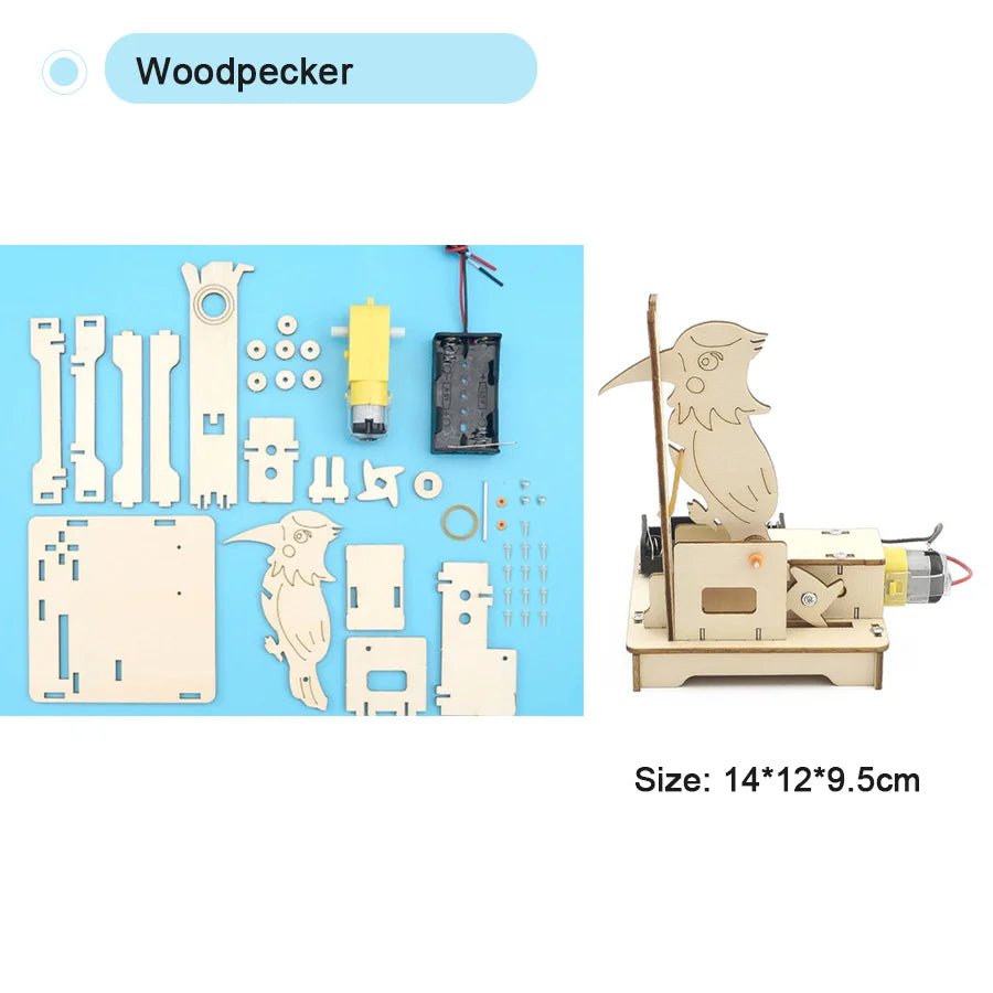 DIY STEM Educational Toy: Assemble Your Own Science Experiment Model for Kids 14+ Woodpecker