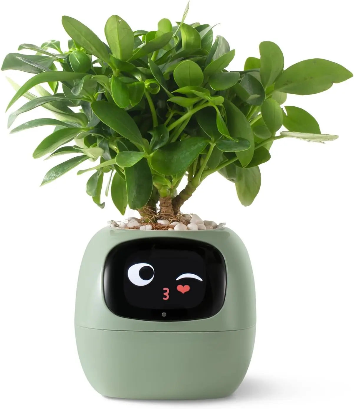 Intelligent Smart Pet Planter with AI Expressions and Sensors