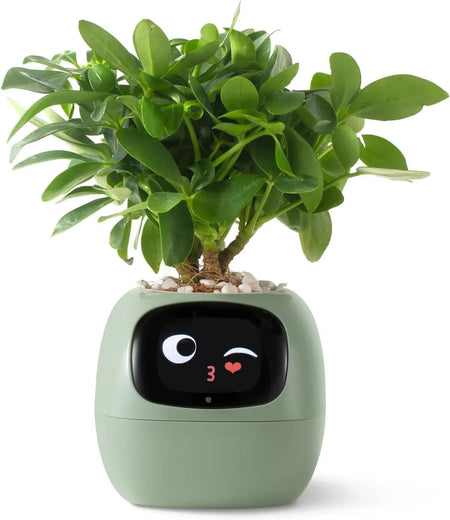 Intelligent Smart Pet Planter with AI Expressions and Sensors
