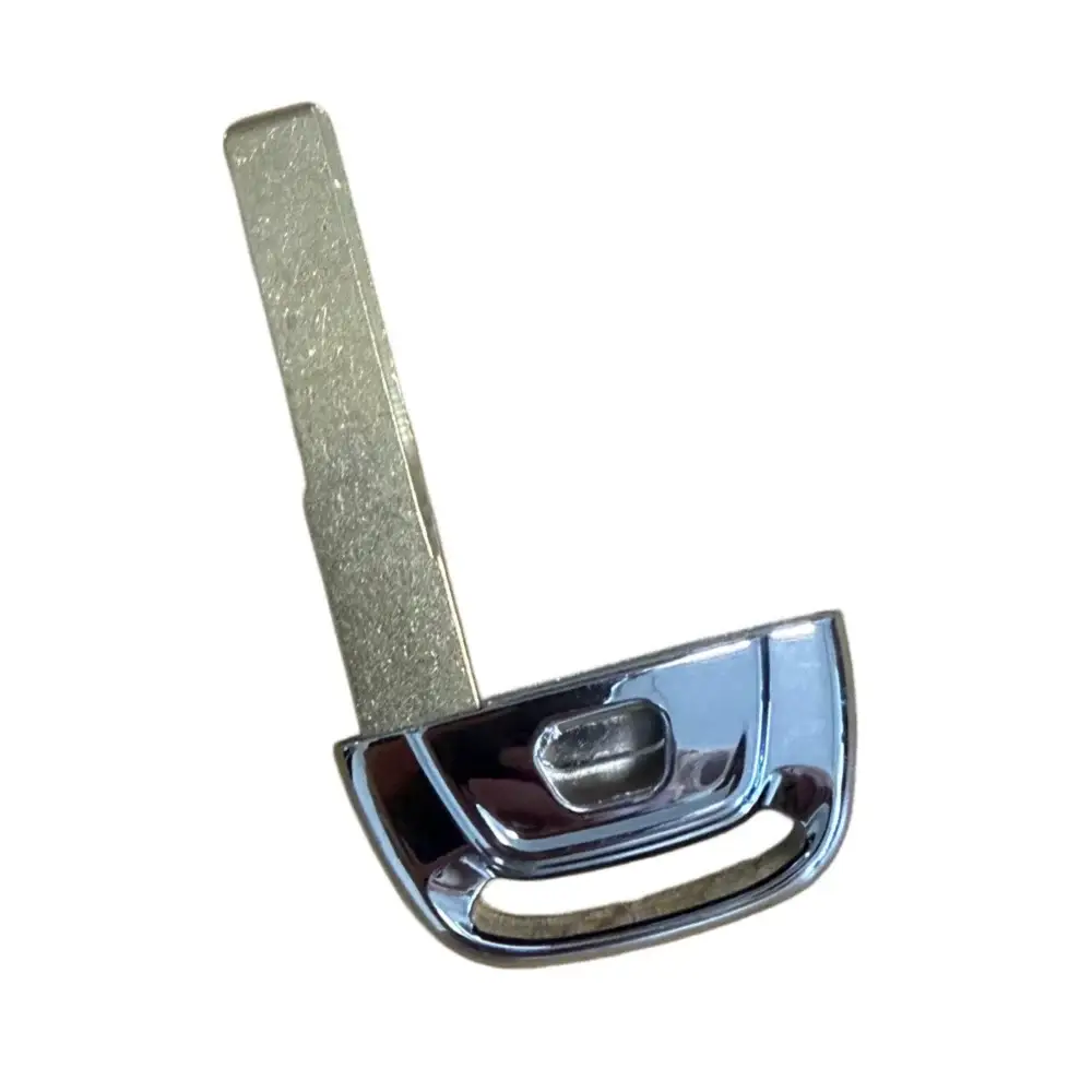 1 pcs Car Remote Key Uncut Blade For Audi Q5 A4L A5 A6 A7 A8 RS4 RS5 S4 S5 Smart Key Shell by InterCyprus Trading Ltd