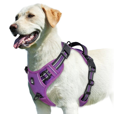 No Pull Dog Harness &ndash; Soft Padded Vest With Easy Control PURPLE / M