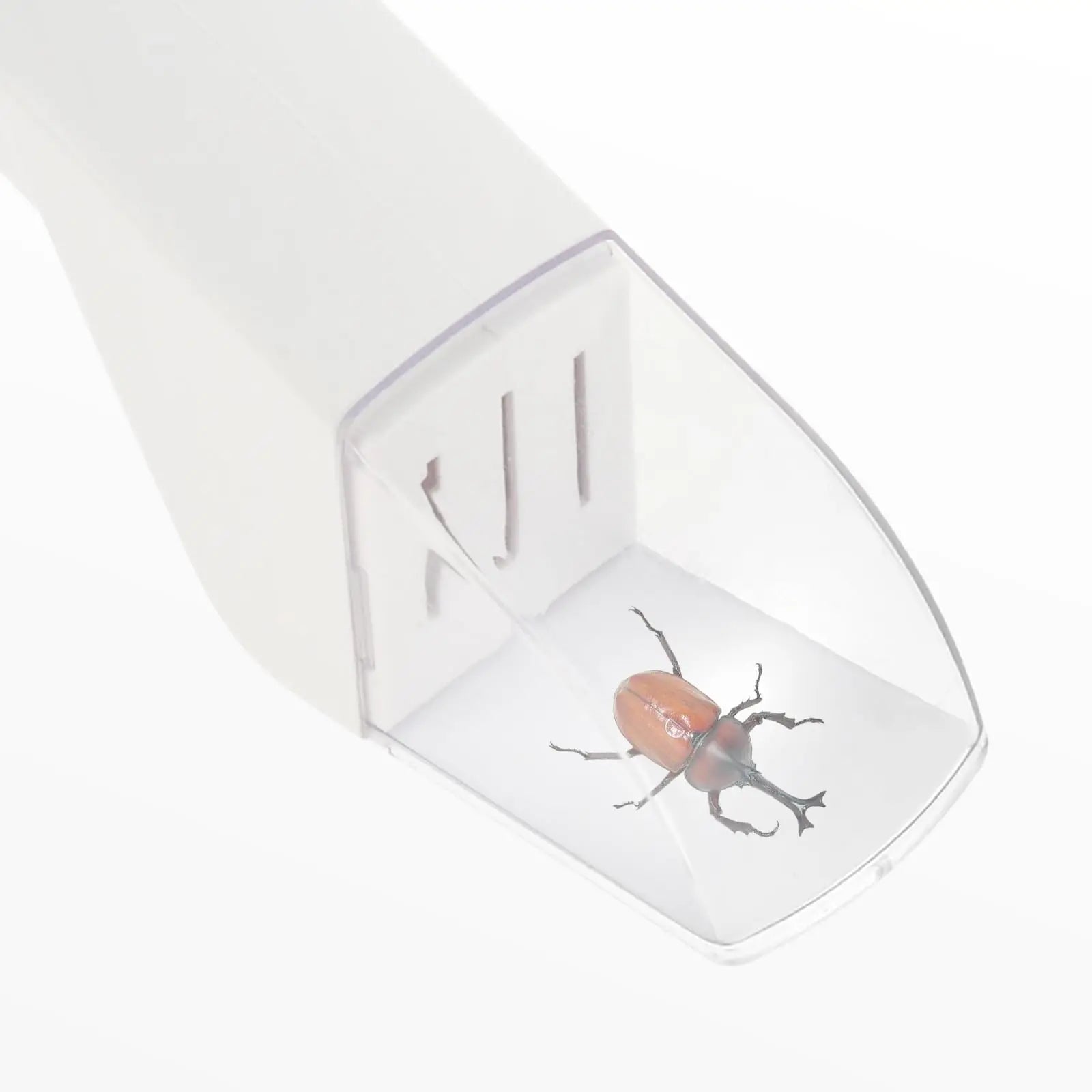 Bug Catcher for Kids - Quick Release Insect Catching Tool with Clear Window