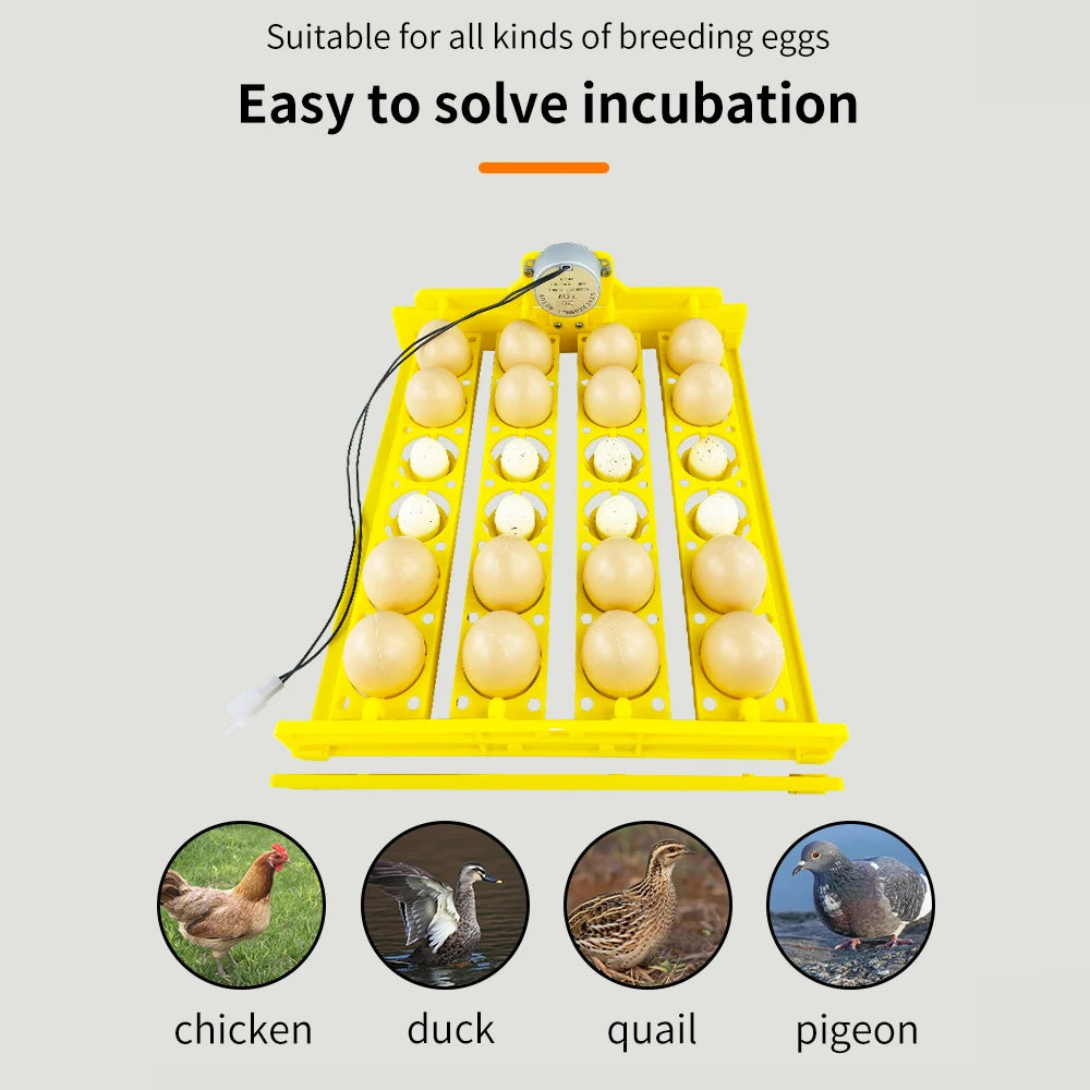 16/24 Eggs Incubator &ndash; Automatic Egg Turning for Efficient Hatching