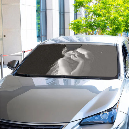 Hot Singer Tortured Poets Car Sunshade - Anti-UV Windshield Cover