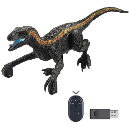 Remote Control Dinosaur Toy Velociraptor 2.4G &ndash; Light Roar B- / CHINA