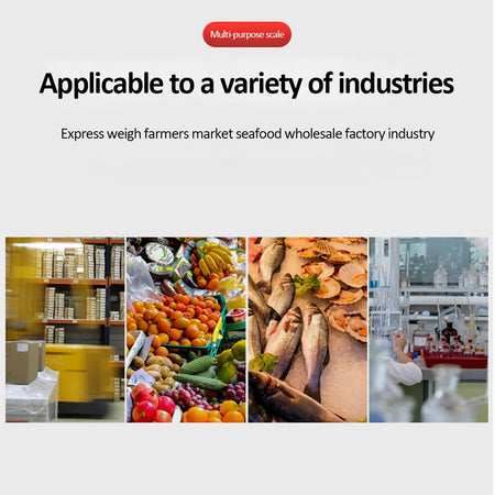 Electronic Platform Scale 50kg/2g &ndash; Backlit Display