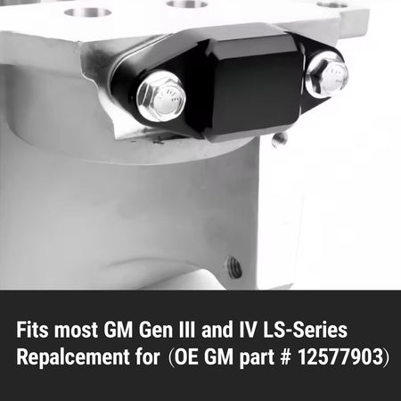 6061 T6 Aluminum Block Off Plate for Chevy GMC LS Gen III IV With Ports by InterCyprus Trading Ltd