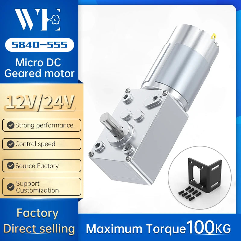 High Torque Micro DC Brushed Motor 12V-24V | Speed Adjustable &amp; Durable 24V Single Motor / 260RPM / Other|CHINA