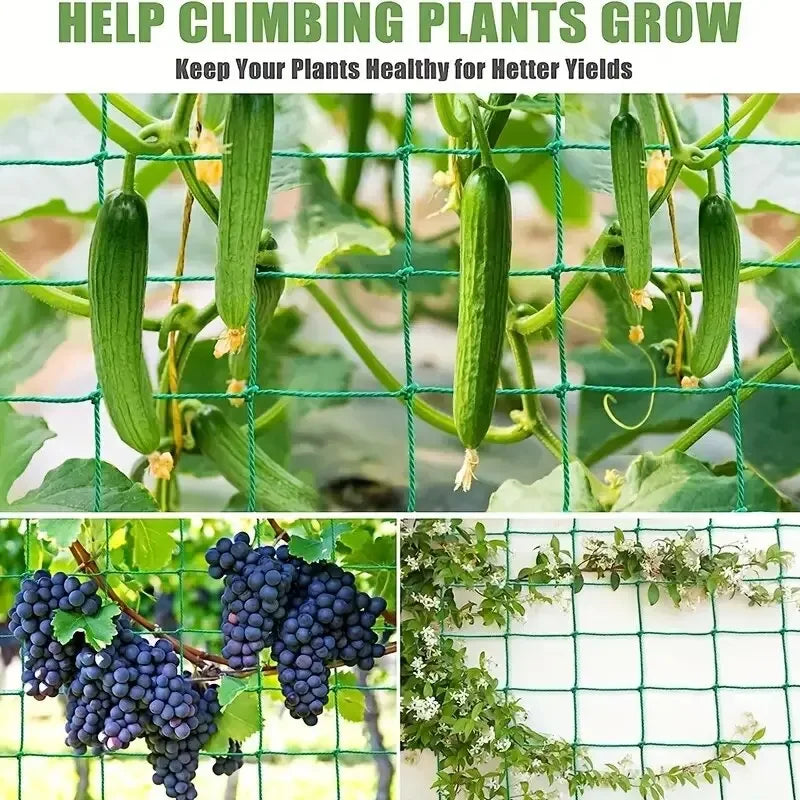 Durable Nylon Garden Netting for Climbing Plants and Vines