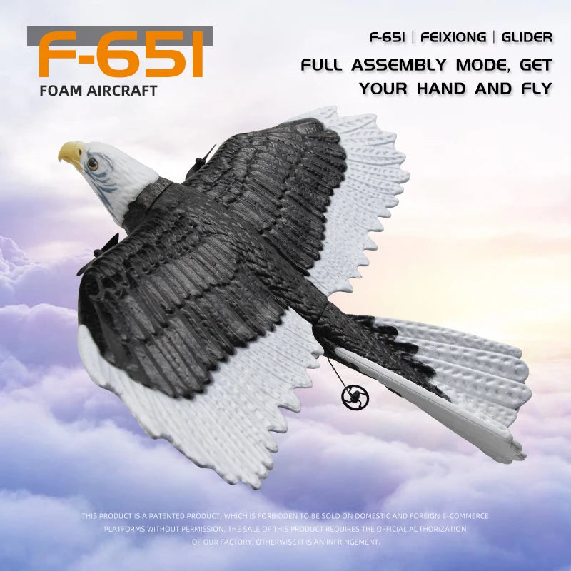 FX651 RC Plane Eagle &ndash; Durable EPP Foam Glider For Kids