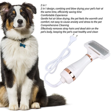 Pet Grooming Dryer 2 In 1 &ndash; Dog Brush And Dryer Portable