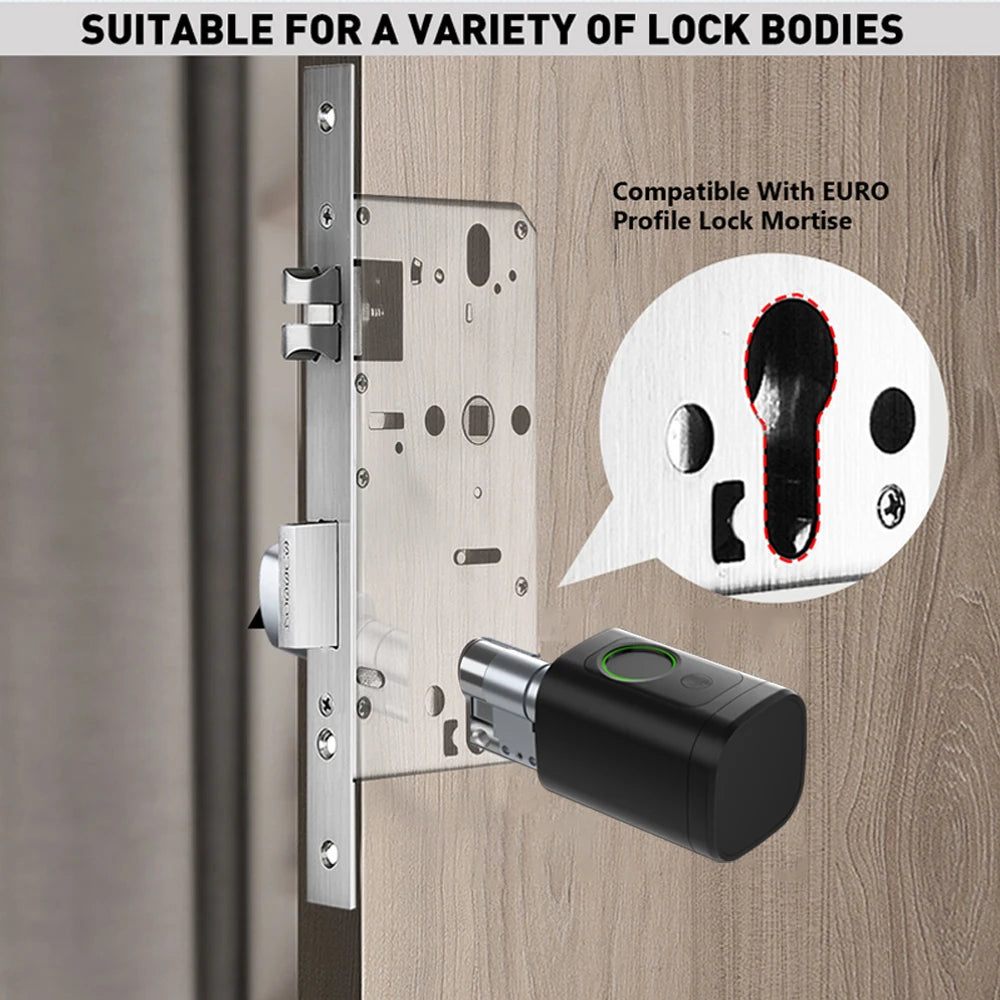 Tuya App Smart Cylinder Lock &ndash; Fingerprint and Pin Code