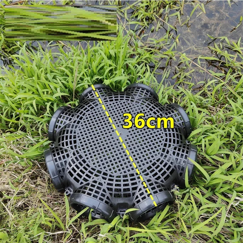Durable Black Fish Net Cage for Eel and Loach Fishing - Plastic Trap Pot