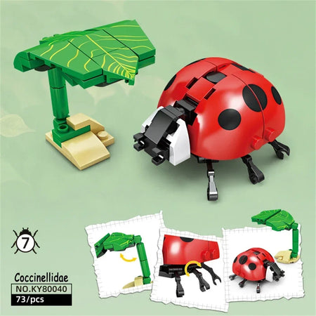 Knew Built Ladybug Blocks Set &ndash; Durable Educational Play Ladybug blocks / in-bag