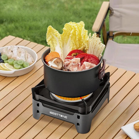 WESTTUNE Outdoor Infrared Combustion Stove &ndash; Powerful 3600W Cooking Performance