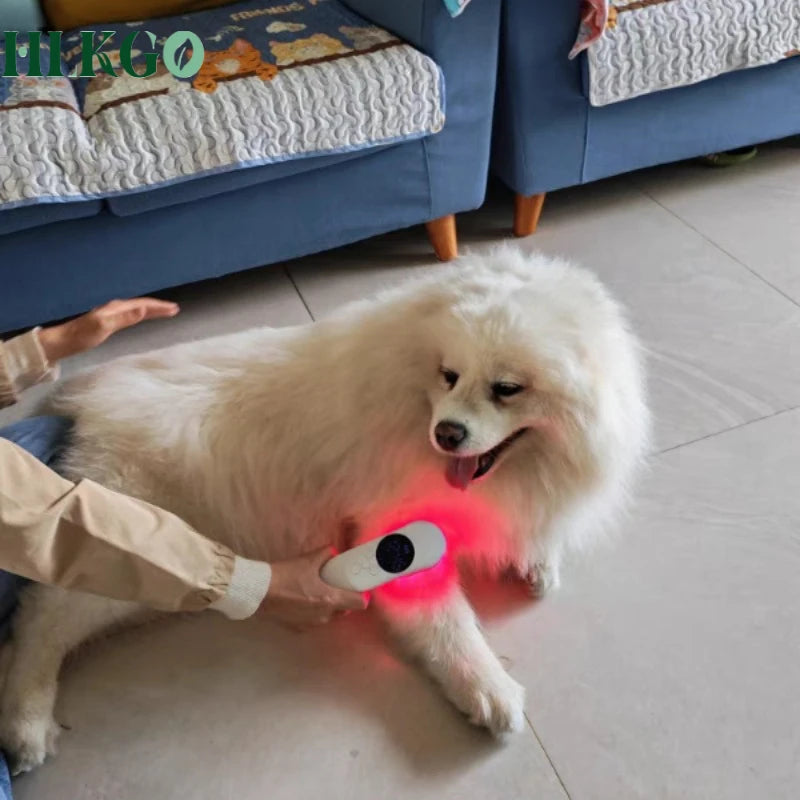 Bärbar laserterapienhet 808nm 650nm smärtlindring 