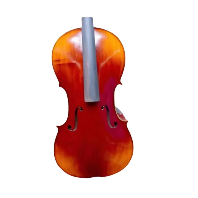 Song Brand Handcrafted Violin &ndash; Maple Back and Neck Included