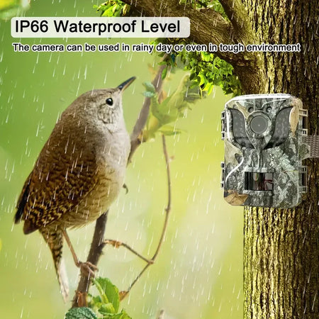 Outdoor Waterproof Hunting Camera &ndash; Night Vision HD Imaging