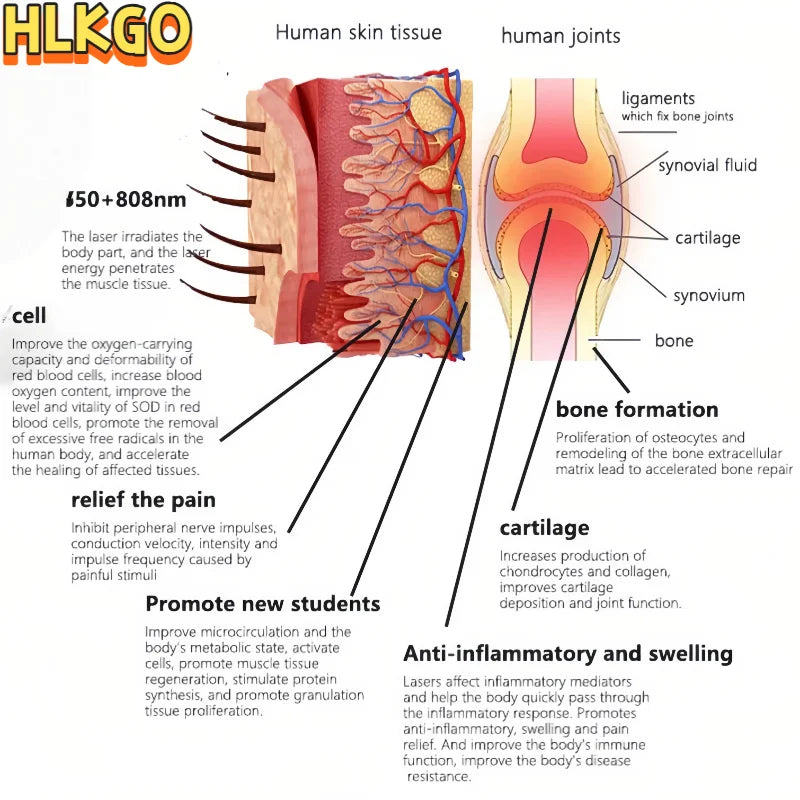 Dispositivo de Laser Frio de Grau Médico 650nm 808nm com 17 Diodos para o Joelho
