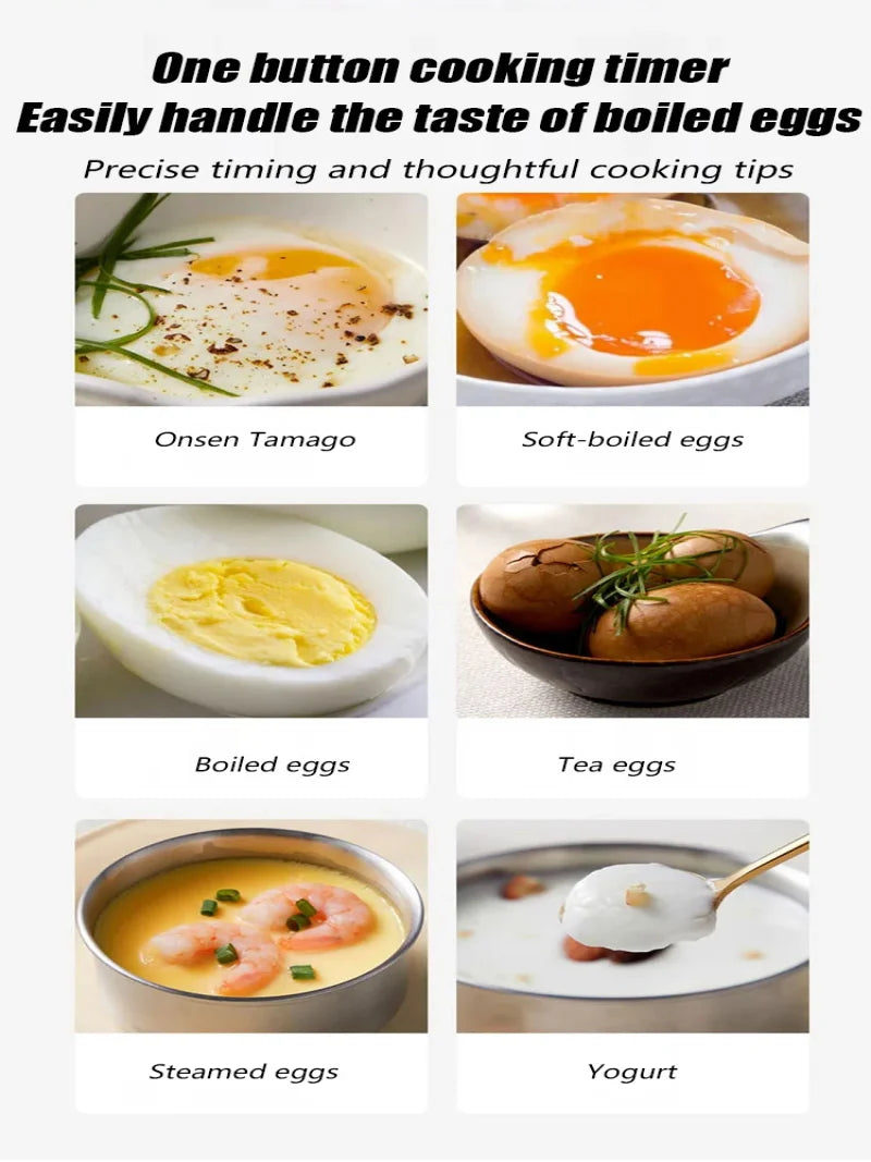 220V Electric Egg Boiler