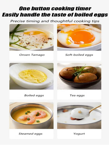 220V Electric Egg Boiler