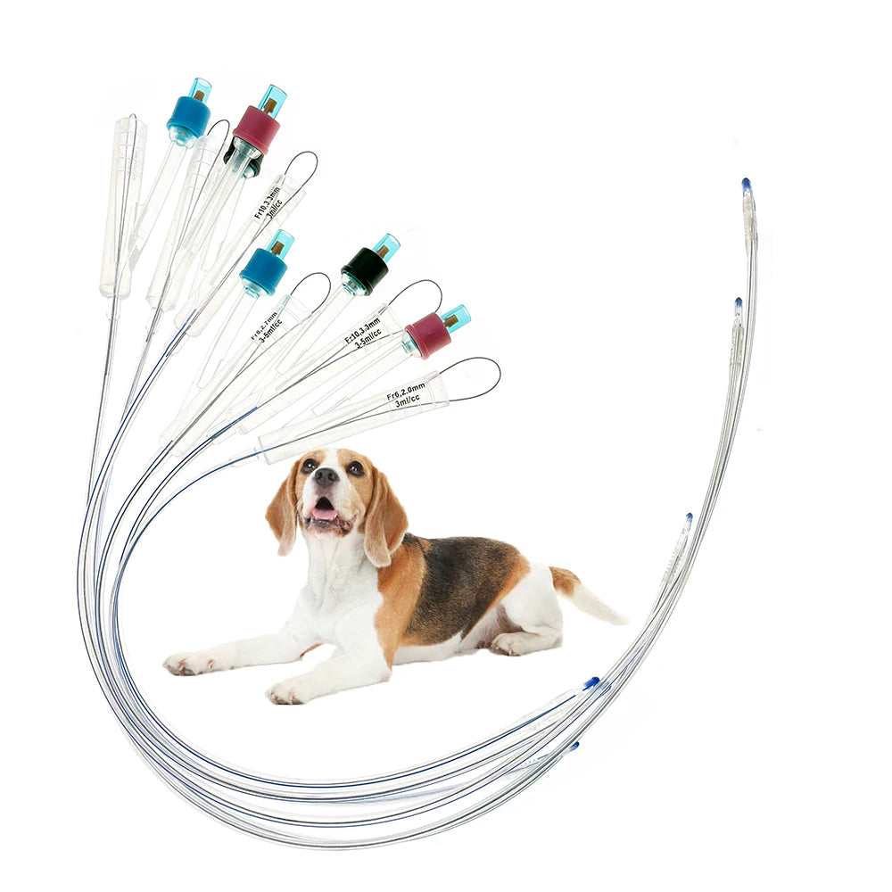 D &ndash; Two Way Self Retaining Dog Foley Catheter 6PCS Kit