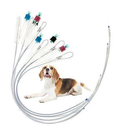 D &ndash; Two Way Self Retaining Dog Foley Catheter 6PCS Kit