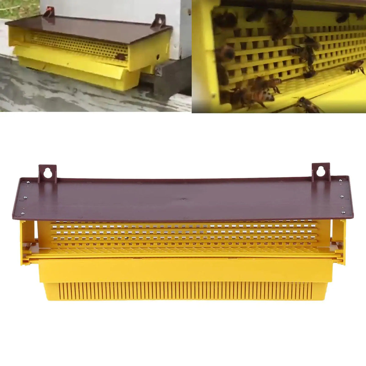 Hanging Pollen Trap Collector &ndash; Ventilated Pollen Tray