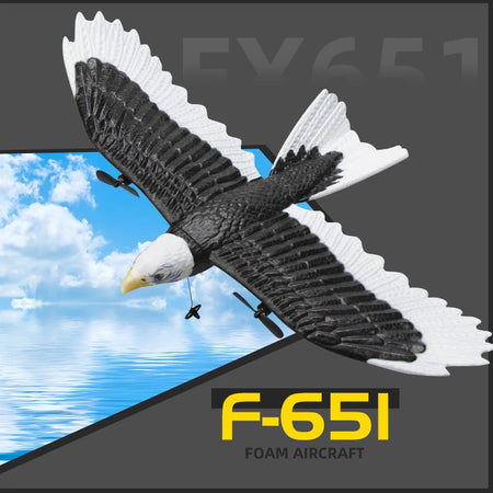 FX651 RC Plane Eagle &ndash; Durable EPP Foam Glider For Kids