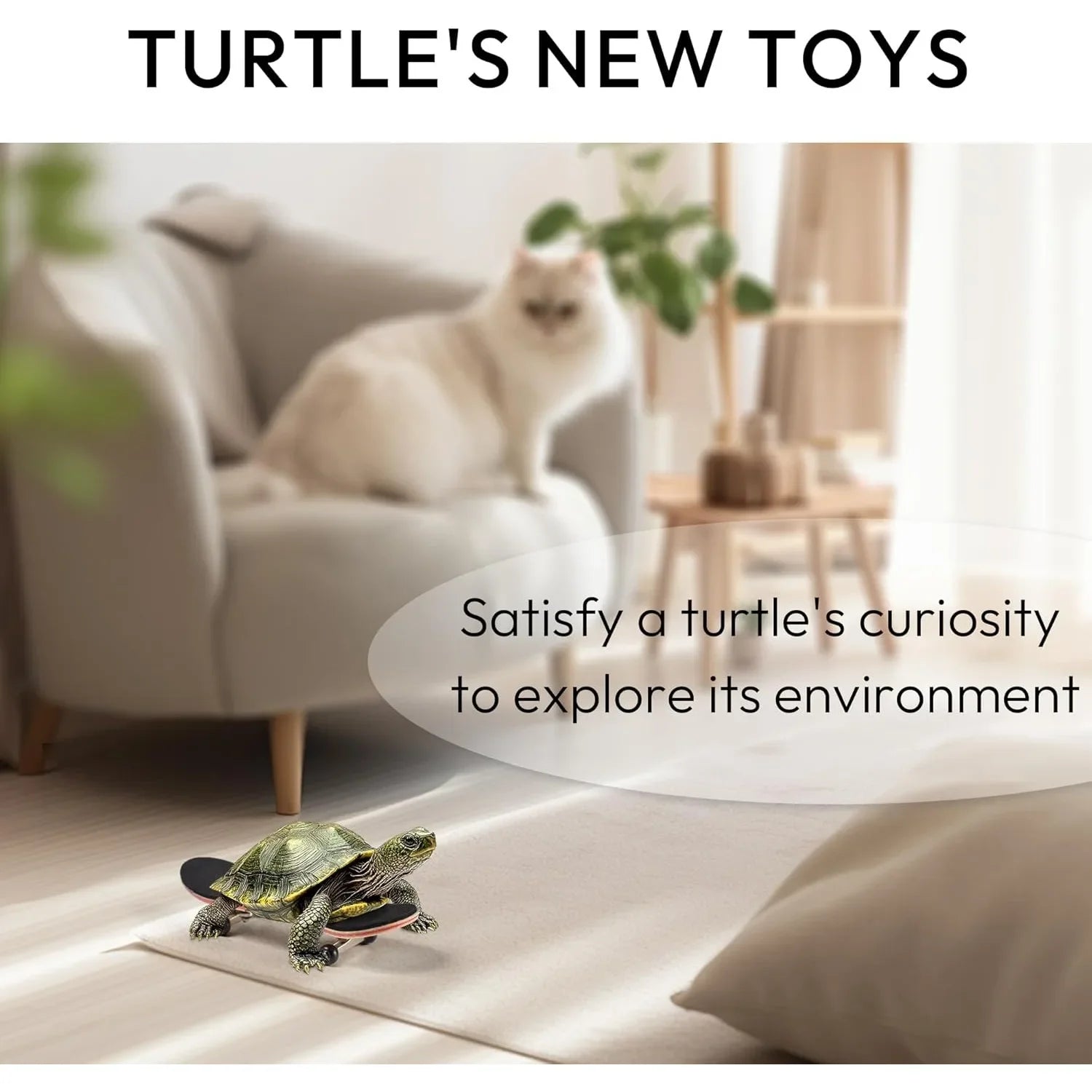 Turtle Skateboard &ndash; Anti-Slip Pad For Secure Playtime