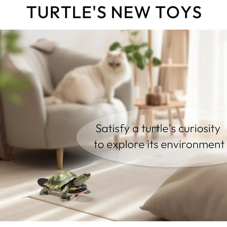 Turtle Skateboard &ndash; Anti-Slip Pad For Secure Playtime