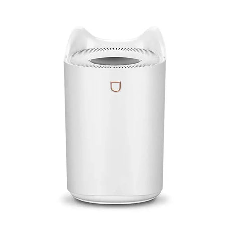 USB 3L Ultrasonic Humidifier Diffuser With LED Dual Nozzle White / CN
