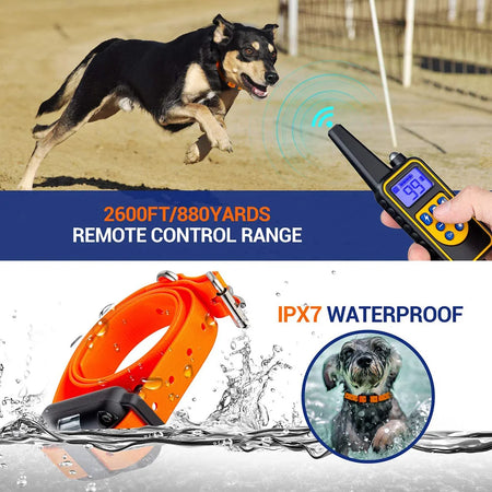 Rechargeable Electrical Dog Training Collar with Remote Control and Vibration