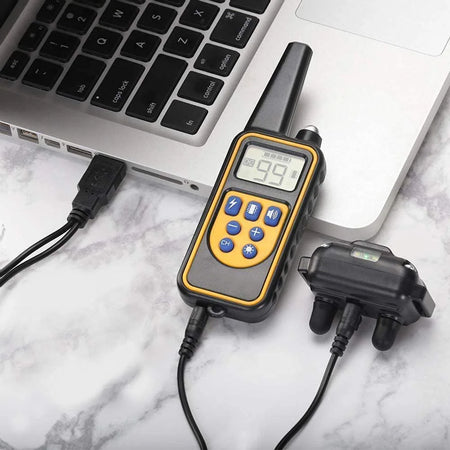 Electric Pet Dog Training Collar &ndash; Remote Control Waterproof