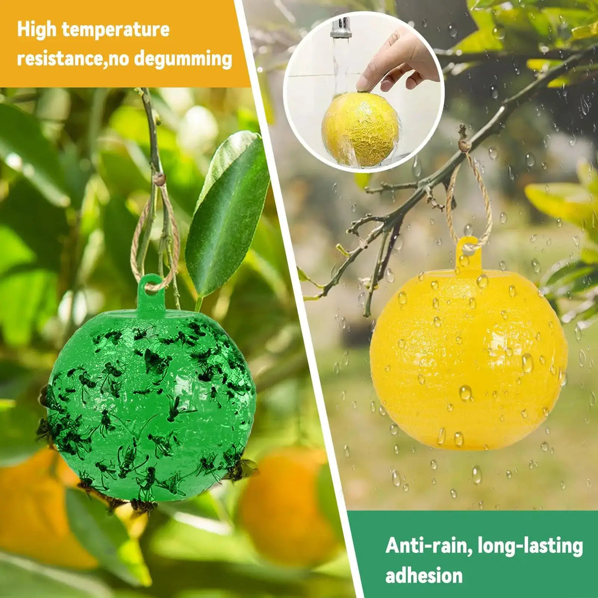 Sticky Fruit Fly Traps for Garden and Orchard Pest Control - 8cm Balls (1/6/12 Pack)