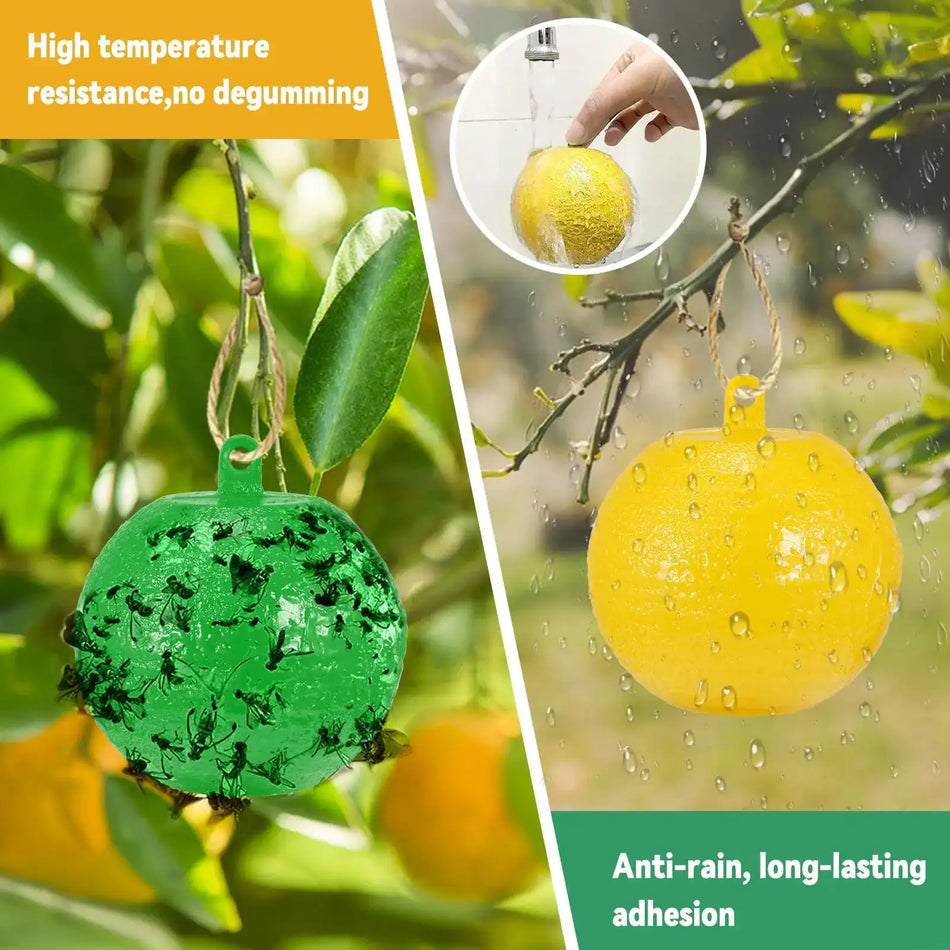 Sticky Fruit Fly Traps for Garden and Orchard Pest Control - 8cm Balls (1/6/12 Pack)