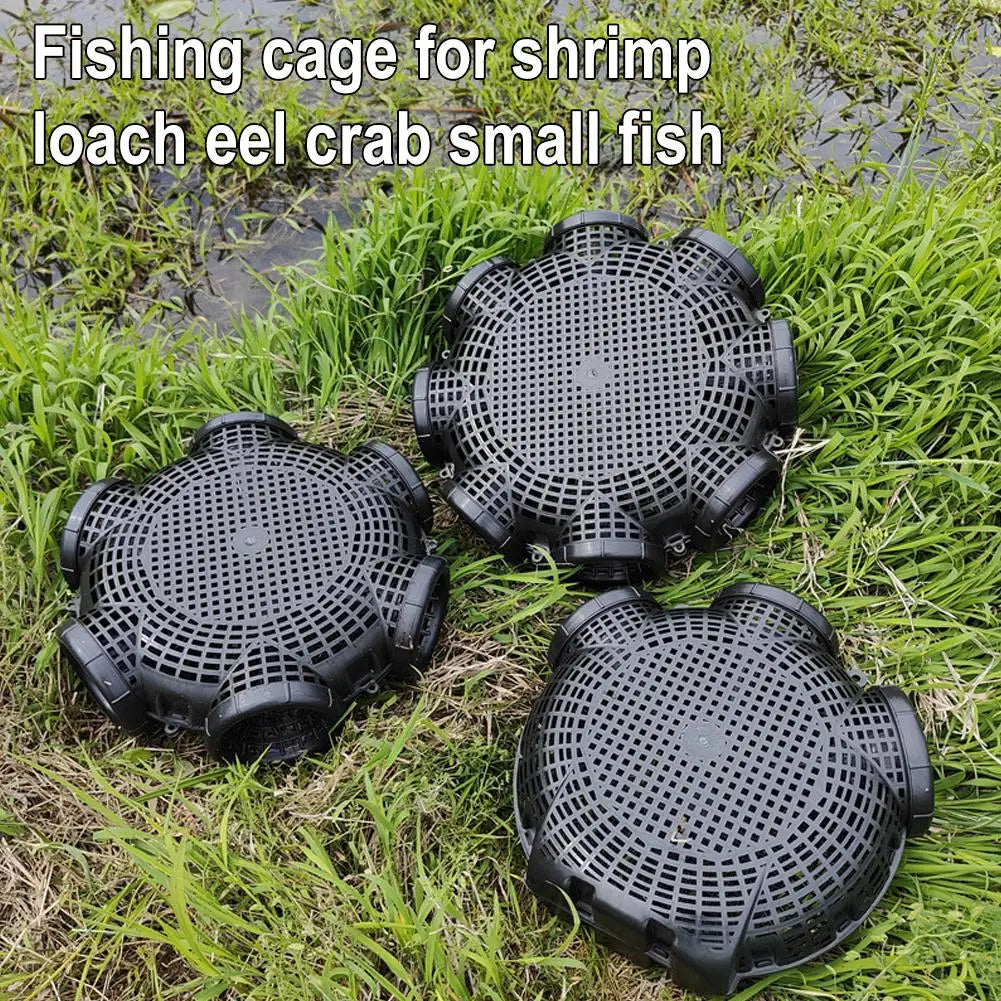 Versatile Fishing Net Cage for Eels, Crabs &amp; Small Fish
