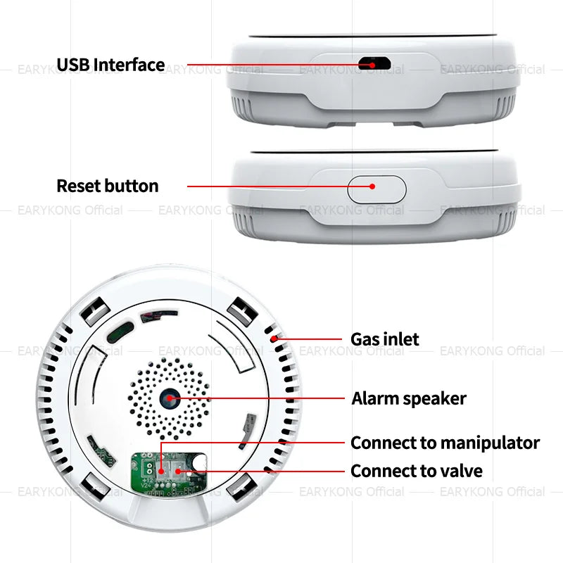 Tuya WiFi Gas Detector &ndash; LED Display and App Control