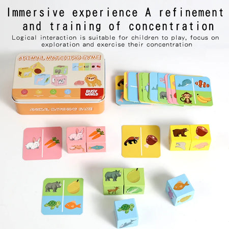 Pattern Matching Game Set - Shape Recognition Boost NB180C1