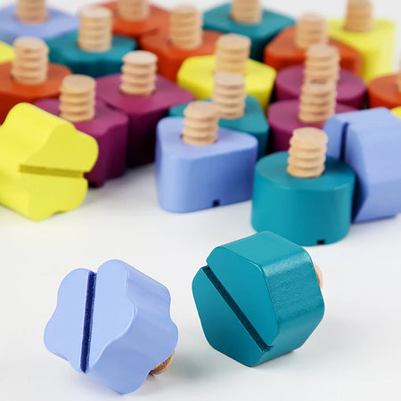 Wooden Screw Disassembly Toys &ndash; Montessori Learning Toy