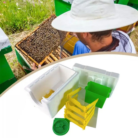 C9y9 - Compact Beehive Box for Pollination and Beekeeping