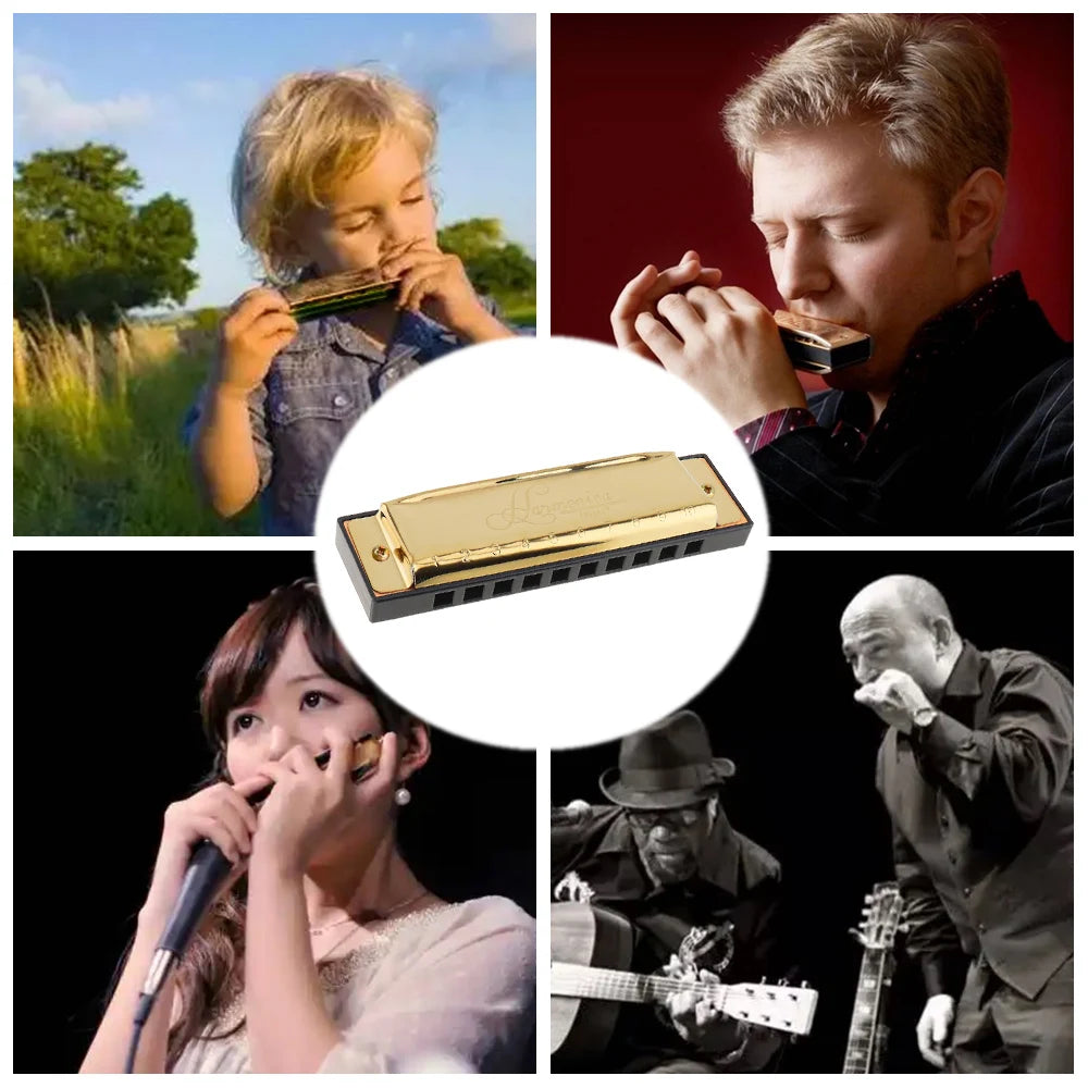 Professional Blues Harmonica 10 Hole 20 Tone &ndash; For Beginners